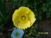 100_1461.webp