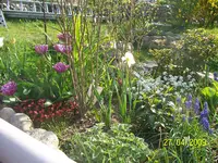 100_1464.webp