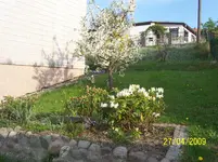 100_1491.webp
