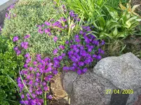 100_1494.webp