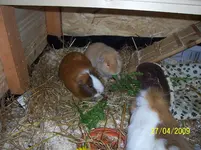 100_1479.webp