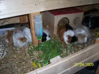 100_1480.webp