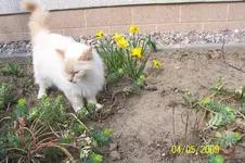100_1400.webp