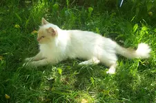 100_0869.webp