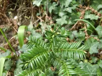 CIMG0858.webp