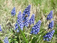 CIMG0598.webp