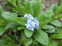 CIMG0722.webp