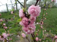 CIMG0739.webp