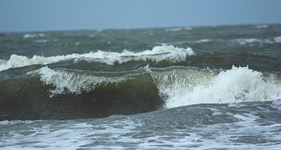 water1_1024.webp