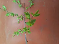 20130423_172152.webp