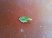 20130423_172233.webp