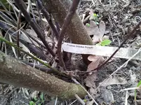 20130423_172403.webp