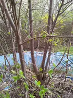 20130423_172420.webp