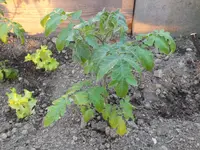 DSCF4897.JPG_converted.webp