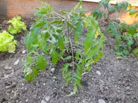 DSCF4899.JPG_converted.webp