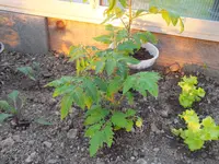 DSCF4901.JPG_converted.webp