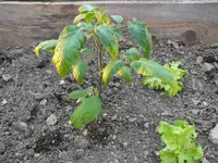 DSCF4903.JPG_converted.webp