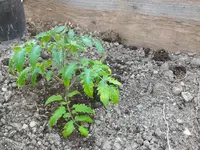 DSCF4904.JPG_converted.webp