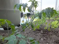 DSCF4914.JPG_converted.webp
