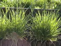 DSC00015.webp