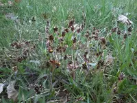Foto0552.webp