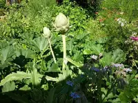 P1000141.webp