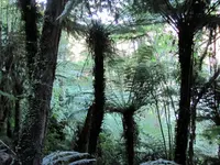 Sonntagsausflug (41) v.webp