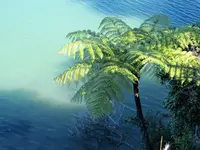 Sonntagsausflug (40).webp