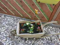 P4220467.webp