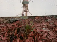 P4220472.webp