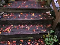 es herbstelt v.webp