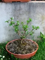 IMG_5762.webp