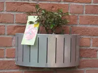 003.webp