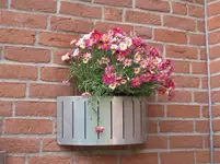 004.webp