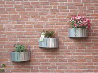 005.webp