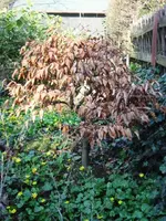 IMG_5784.webp