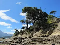 Marlborough Sounds v.webp
