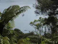 Marlborough Sounds v.webp