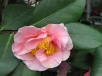 053.webp