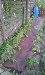 20130424_191306.webp