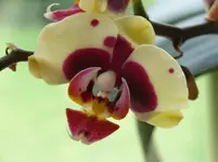 RIMG0047.webp