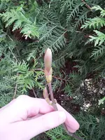 20130423_172702.webp