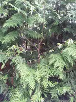 20130423_172638.webp