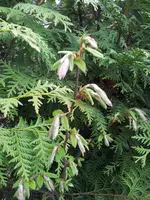 20130423_172613.webp