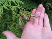 20130423_172628.webp