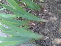 20130425_165300.webp