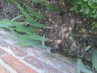 20130425_165252.webp