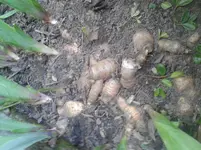 20130425_165305.webp