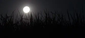 partielle Mondfinsternis0.webp