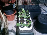 25.04. 2013 (9).webp
